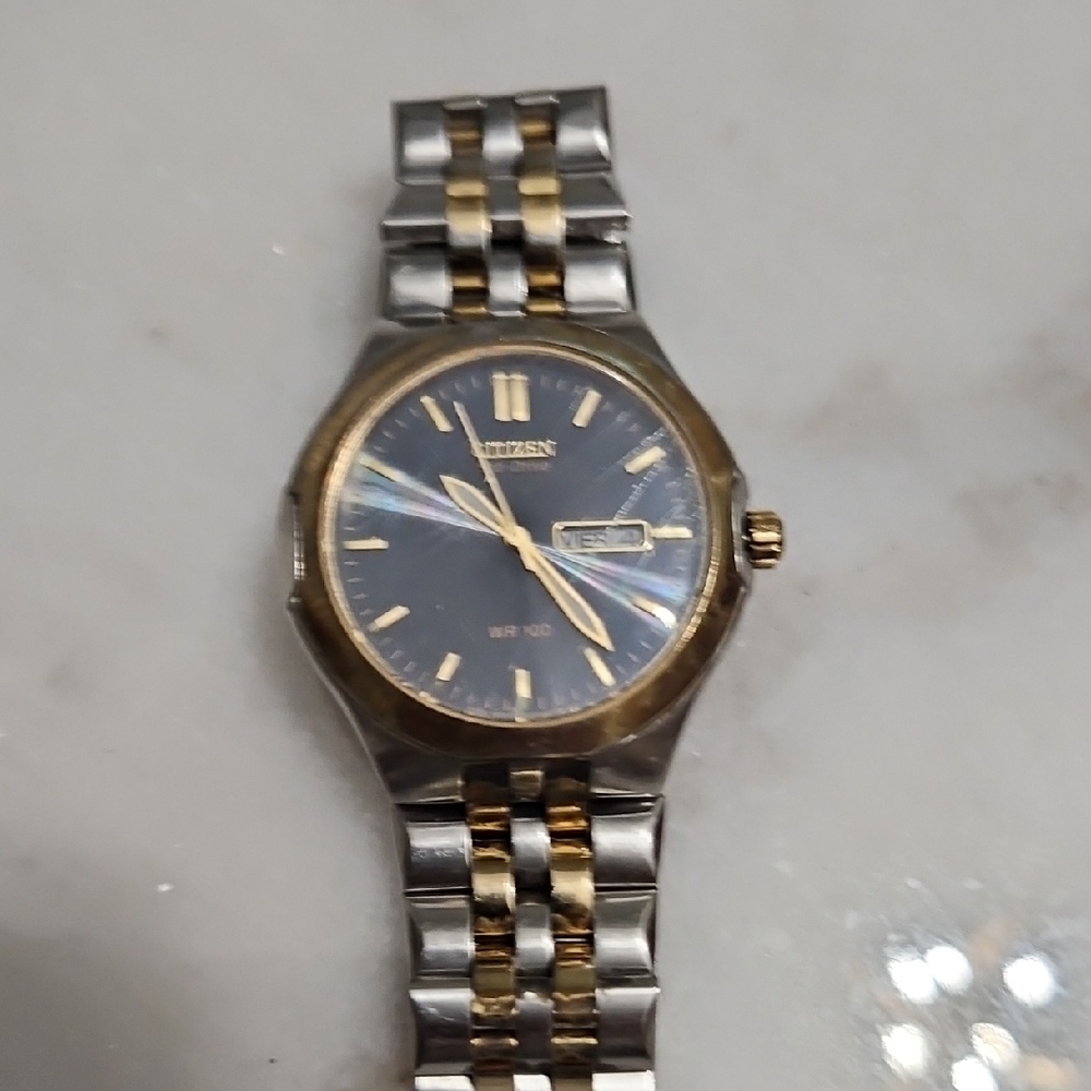 Citizen Silver and Gold Bag